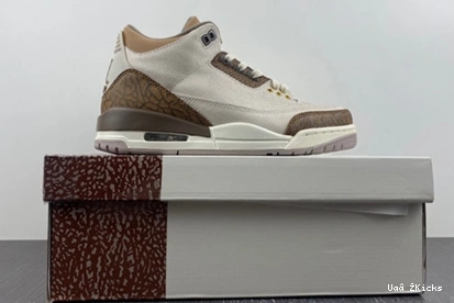 9353 379 StreetReady Jordan 3 CT8532- “Palomino” Air 0902
